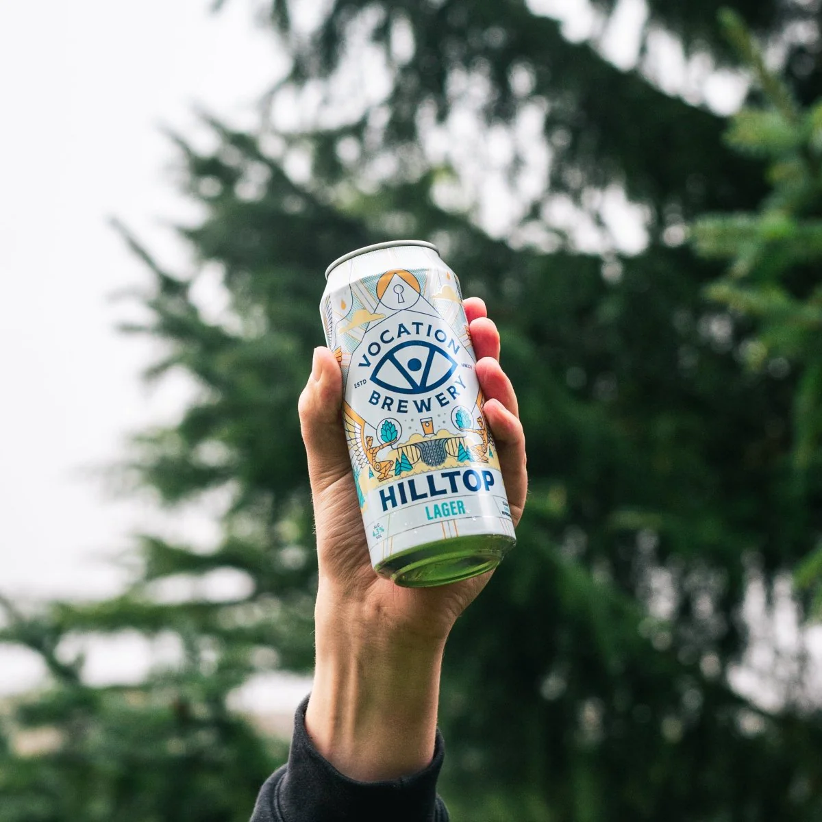 12PK Hilltop Lager | 4.3% Lager 440ml - Image 4